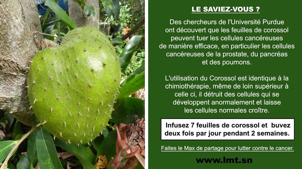 corossol-le-saviez-vous-dac-presse-6334727