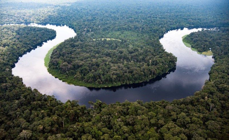 Pourquoi le bassin du Congo, puits de carbone, est menacé